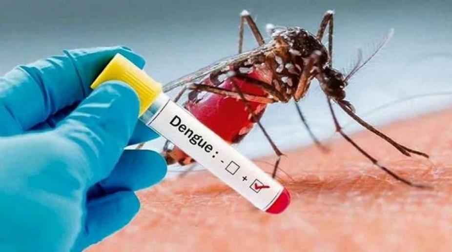 Confirmaron Dos Nuevas Muertes Por Dengue En Caba Y Suman 35 Las Víctimas Fatales En Todo El 